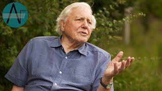 David Attenborough on Christopher Nupen & Jacqueline Du Pré (Interview) | Listening Through the Lens