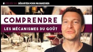 6 ateliers pour progresser dans le vin (leçon n°97)