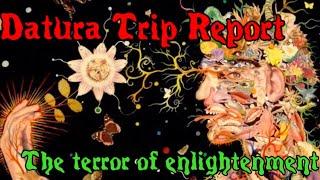 Datura Trip Report: The Terror of Enlightenment