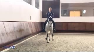 Dressurmäßige Arbeit & Trainingsphilosophie | Working Equitation | Pedro Torres