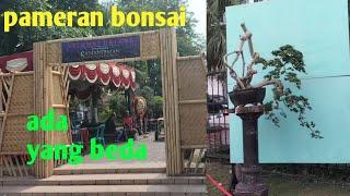 tampil beda pameran bonsai samandiman club 2024 ponorogo