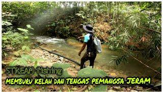 mountain stream fishing malaysia | copper masheer Strike!!