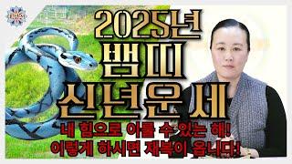 2025년 뱀띠 신년운세ㅣ내 힘으로 다 이뤄내는 해가 됩니다. 재복이 넘치는 뱀띠 신년운세