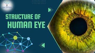 STRUCTURE OF HUMAN EYE II DON'T MEMORISE