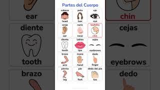 Parts of Body in Spanish | Human Body Parts in Spanish