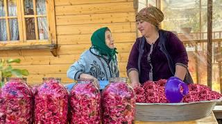 Cabbage Harvest | Making Pickle by Cabbage and Cooking Delicious Borscht