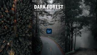 Dark Forest - Free Lightroom Mobile Presets | Forest Preset | Dark Filter | Cinematic Preset