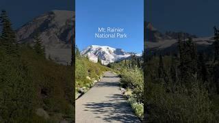 Skyline Loop trail at Mt. Rainier National Park in late August! #washingtonhikes #nationalpark