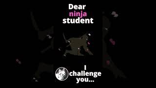 Test your Japanese level, vocab. and skills! How to learn Japanese hiragana, katakana, kanji