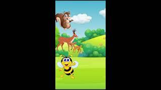 Cartoon Live Mini Wood Most Funny Cartoon Sky Berry Funny Live