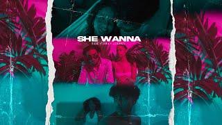 Rafz x Jeromzz x Lima - SHE WANNA (OFFICIAL VIDEO)