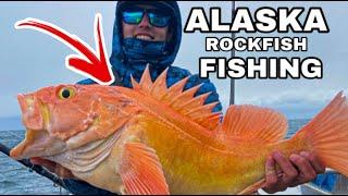 Alaska Rockfish Fishing! J-DOCK Fishing Charter! (Seward, Alaska)