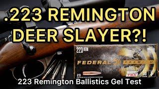 .223 DEER SLAYER!? 223 Remington Federal Premium Barnes TSX 55gr Ammo Test