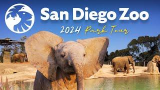 San Diego Zoo Guide - Top Tips, Shows & Exhibits 