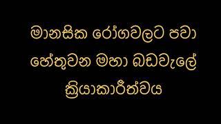 මානසික රෝගවලට පවා හේතුවන මහා බඩවැලේ ක්‍රියාකාරීත්වය