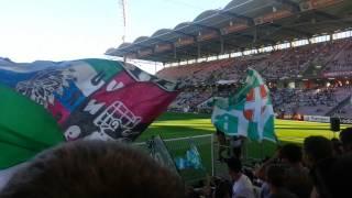 RAPID WIEN und FCN !!!  Block West 07.09.2013