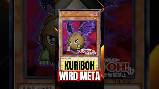 Kuriboh bald in jedem Deck?! Was steckt hinter dem neuen Support?