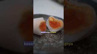 JANGAN CUMA MAKAN PUTIH TELURNYA ‼️