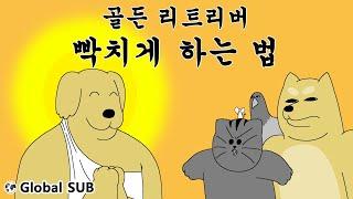 [Beast Friends] How to Make a Golden Retriever Angry