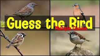 British Bird Calls Multiple Choice Quiz