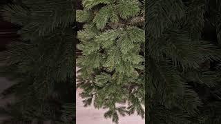 Vánoční stromek 3D Borovice Himálajská