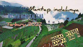 WISATA AGRO KEBUN TEH KALIGUA BUMIAYU || ROADTRIP VLOG