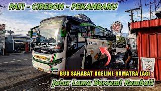 Luar Biasa.! Bus Sahabat Buka Trayek Sumatra Lagi| Pati - Cirebon - Pekanbaru.