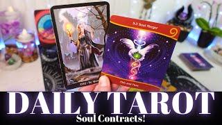 DAILY TAROT ~ "Your Soul Sparks Woke Eachother Up. You Are Healers!" JANUARY 2024