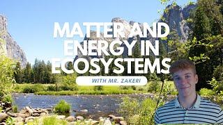 Matter and Energy in Ecosystems