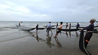 Luar Biasa.!! Nelayan Tradisional Indonesia Pasang Jaring Tarik Pantai | Beach Seine Net