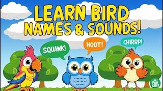 Learn Bird Names and Sounds for Kids | Fun Learning video.