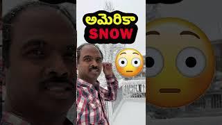 ️ USA Telugu Vlogs ️