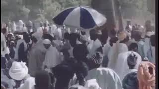 BAYE NIASS - Thiéy Maolana Cheikh Ibrahim Niass Cheikh AL Islam  Baye Mo Bakh Niass