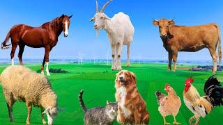 Happy Farm Animals - Cow, Duck, Horse, Sheep, Buffalo, Chicken, Goat - Animal Sounds