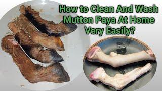 Eid special | In this video, we have told how to clean Mutton Paya easily at home?