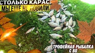 ТАЙНЫ УСПЕШНОЙ РЫБАЛКИ НА КАРАСЯ !!! КАК Я ЛОВЛЮ ЛУЧШЕ ВСЕХ !! трофейная рыбалка с bo.