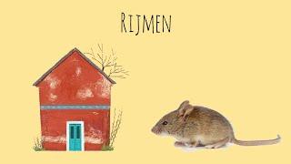 Taal voor kleuters: Rijmen