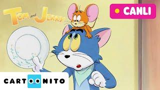  CANLI  TOM VE JERRY MACERALARI | @CartoonitoTurkiye