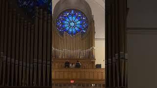 ORGAN MUSIC AMAZING THUNDER BACH MUSIC BAROQUE #piano #musicalinstrument #organ #choir #pipeorgan