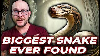 We Found a Snake BIGGER Than Titanoboa!