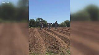 Union Co. inmates planting in garden