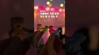 [Seoul]뚜벅이도 가기좋은 서울 힐링 스팟, 반포 한강공원 무지개분수
