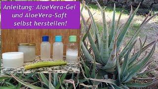 Anleitung: Aloe Vera Gel und Saft selbst herstellen