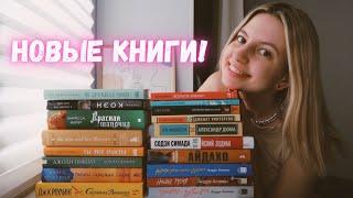 книжные покупки | гора самых желанных новых книг новые магазины