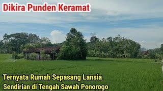 Rumah Sendirian di Tengah Sawah Pedesaan Ponorogo