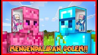 ATUN & MOMON MENGENDALIKAN GOLEM WARNA WARNI !! Feat @sapipurba Minecraft