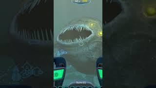 Subnautica Bloop and Blaza