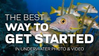 What Is The Best Way To Get Started In Underwater Photography & Video