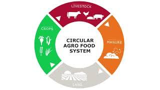 Martin Scholten: a Circular AgroFood System