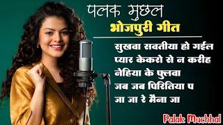 Palak Muchhal All Bhojpuri Viral Songs || Sukhwa Savatiya Ho Gail #palakmuchhal #bhojpurisong